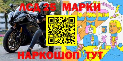 бошки Гатчина
