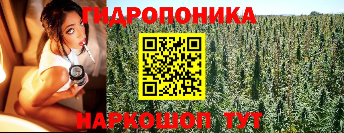 Марихуана планчик  Вход с VPN  Каннабис ГИДРОПОН  Марихуана конопля  Йошкар-Ола 